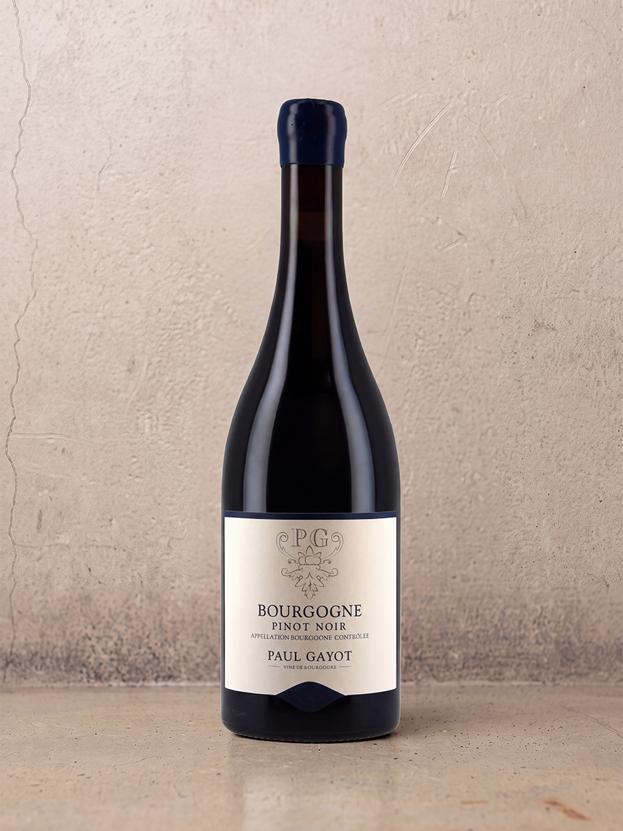 Paul Gayot Bourgogne Rouge 2023