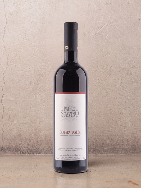 Paolo Scavino Barbera d'Alba 2024